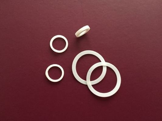 গুড লুব্রিকেটিং PTFE রিং গ্যাসকেট