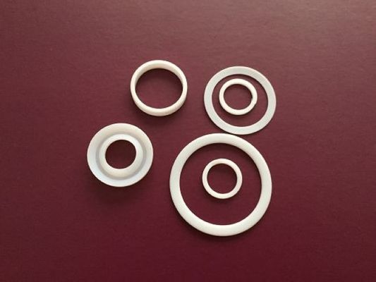 গুড লুব্রিকেটিং PTFE রিং গ্যাসকেট